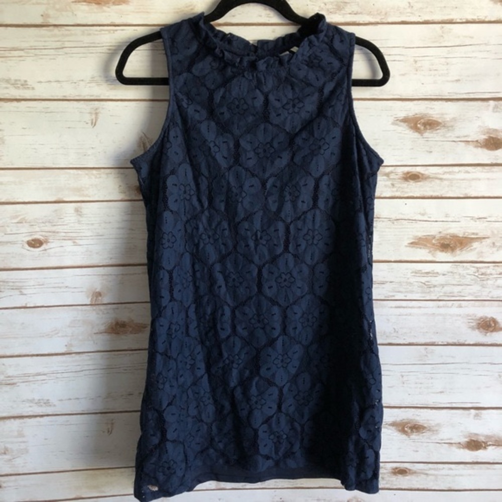 Paper Crane Navy Lace Dress